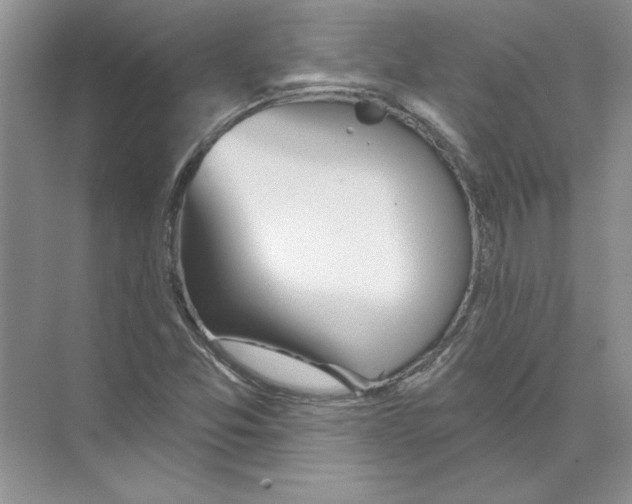 X0000074241357200609222048
