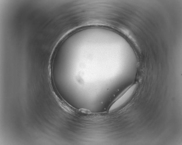 X0000074241372200609222048