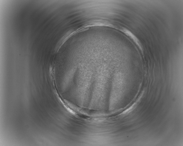 X0000074241385200609222048