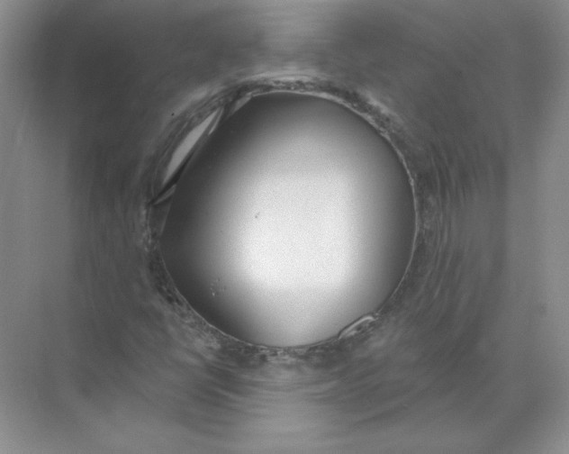 X0000074241398200609222047