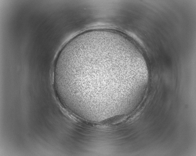 X0000074241413200609222047
