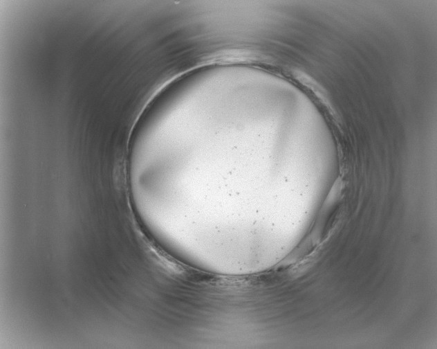 X0000074241473200609222046