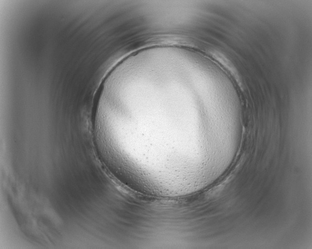 X0000074241481200609222046
