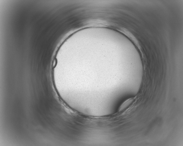 X0000074241488200609222046