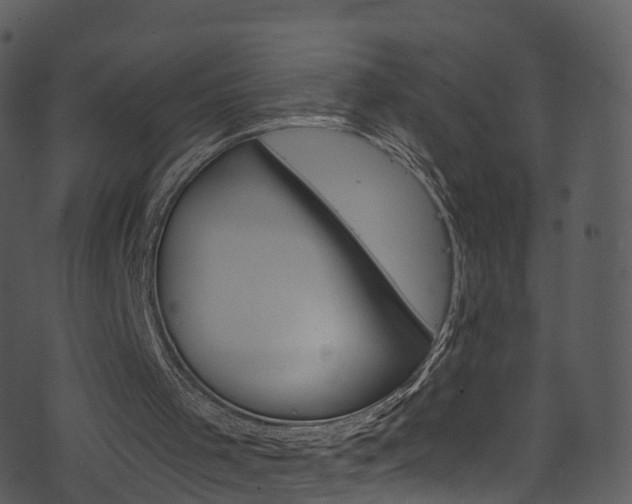 X0000074260001200608250912