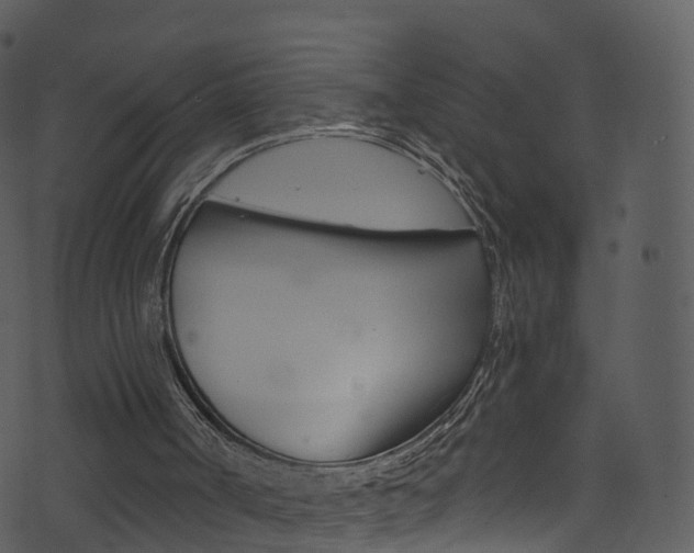 X0000074260002200608250912