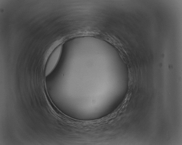 X0000074260003200608250912