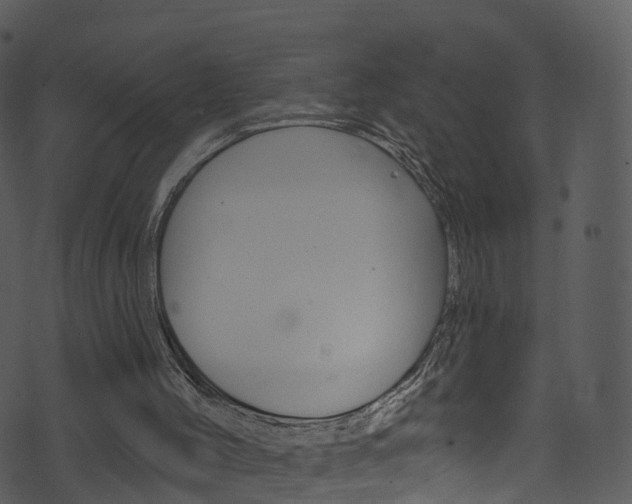 X0000074260004200608250912