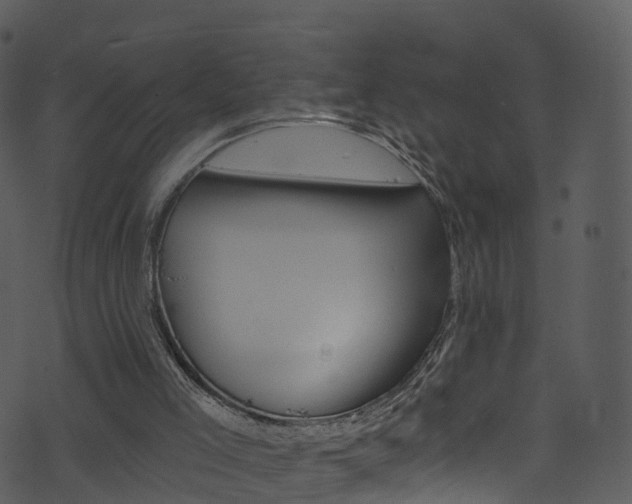 X0000074260005200608250912