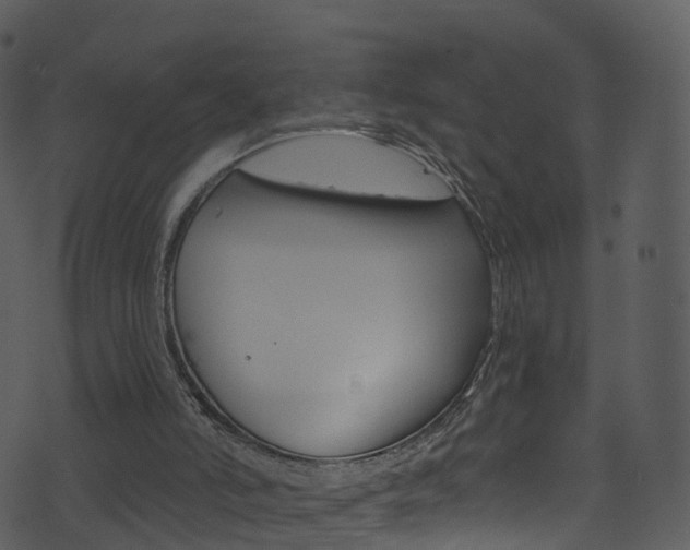 X0000074260006200608250912