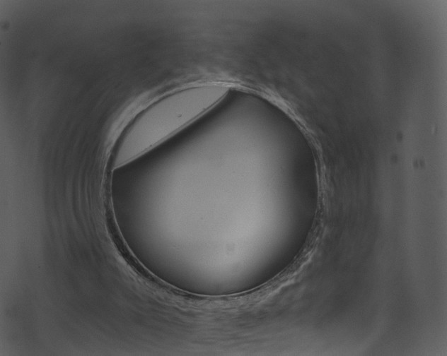 X0000074260007200608250911