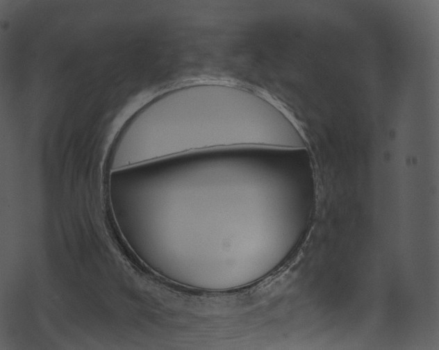 X0000074260008200608250911