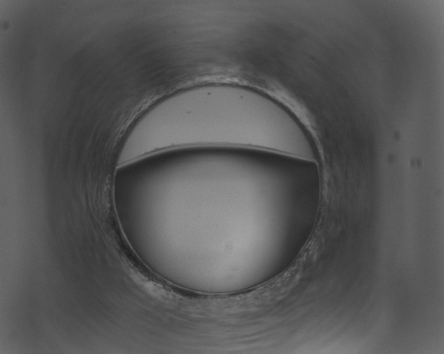 X0000074260009200608250911