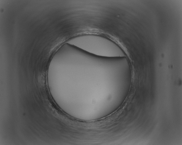 X0000074260010200608250911