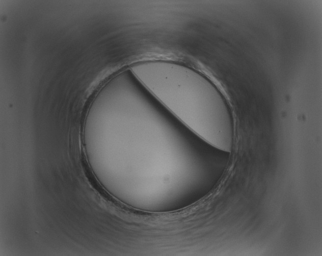 X0000074260011200608250911