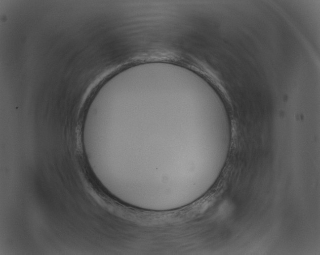 X0000074260012200608250911