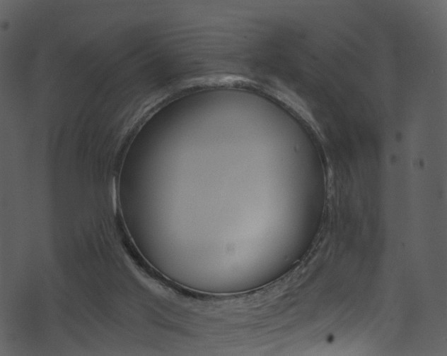 X0000074260013200608250911