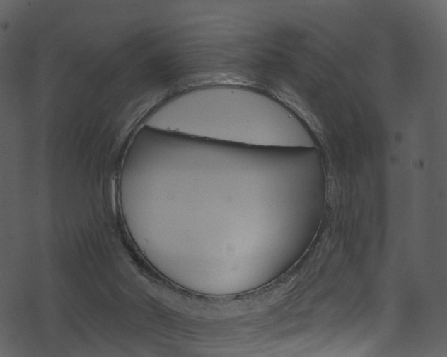 X0000074260014200608250911