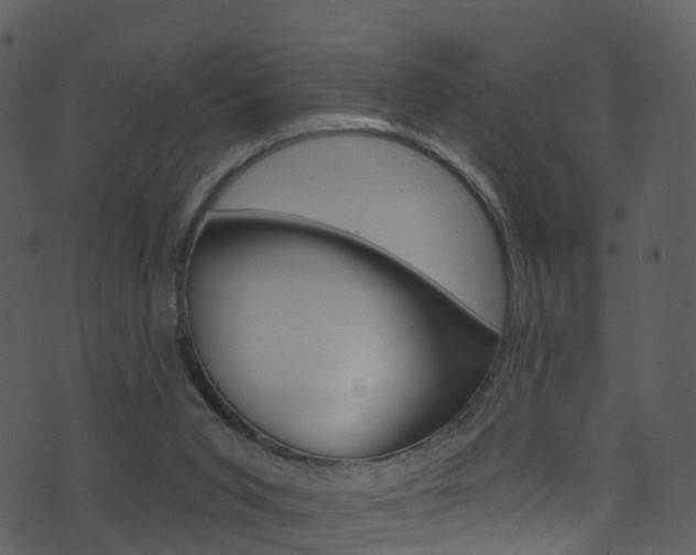 X0000074260015200608250911