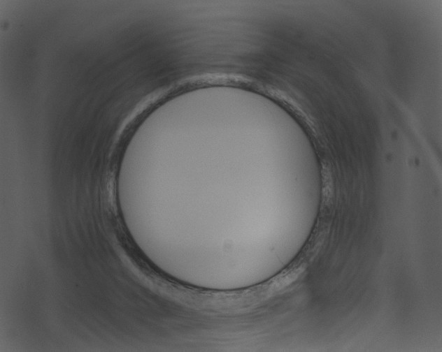 X0000074260016200608250911