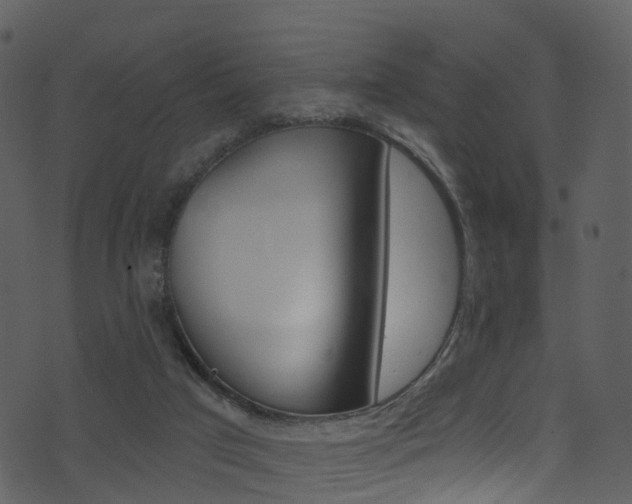 X0000074260017200608250911