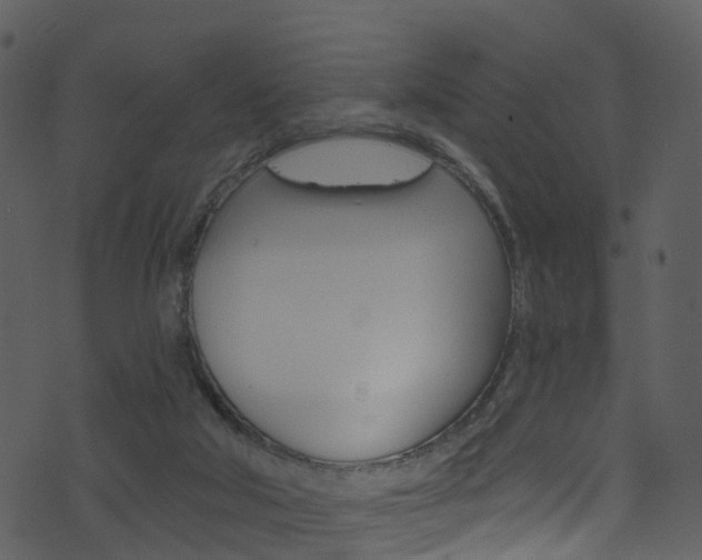 X0000074260018200608250911