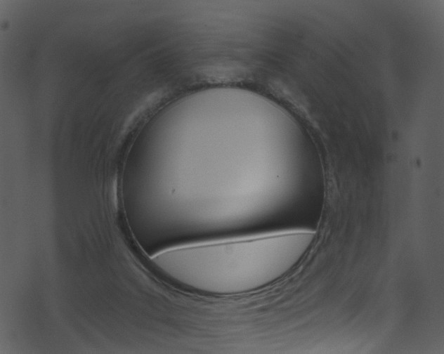 X0000074260019200608250911