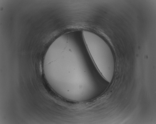 X0000074260020200608250911