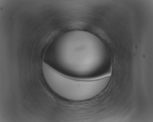 X0000074260021200608250911