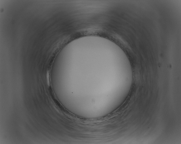 X0000074260022200608250911