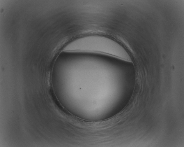 X0000074260023200608250911