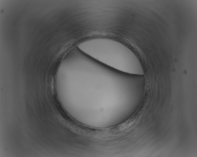 X0000074260024200608250911