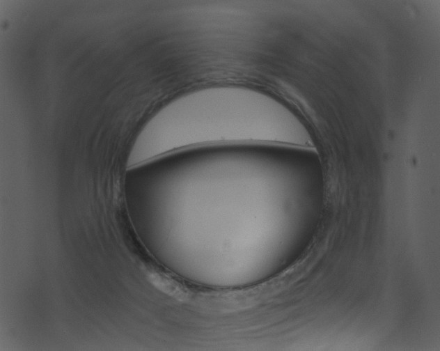 X0000074260025200608250911