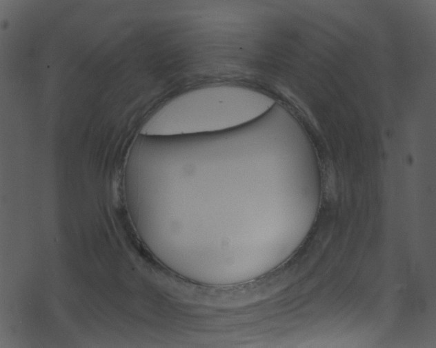 X0000074260026200608250911