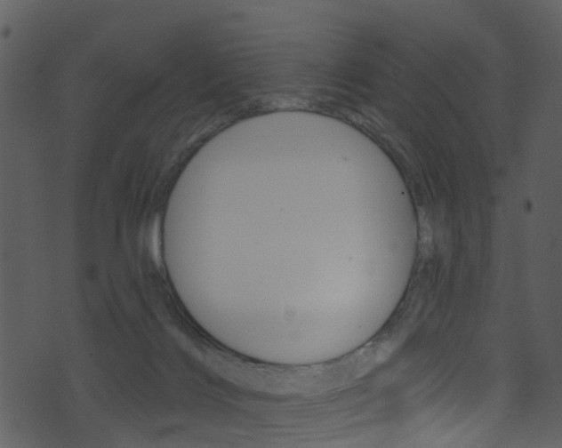 X0000074260028200608250911