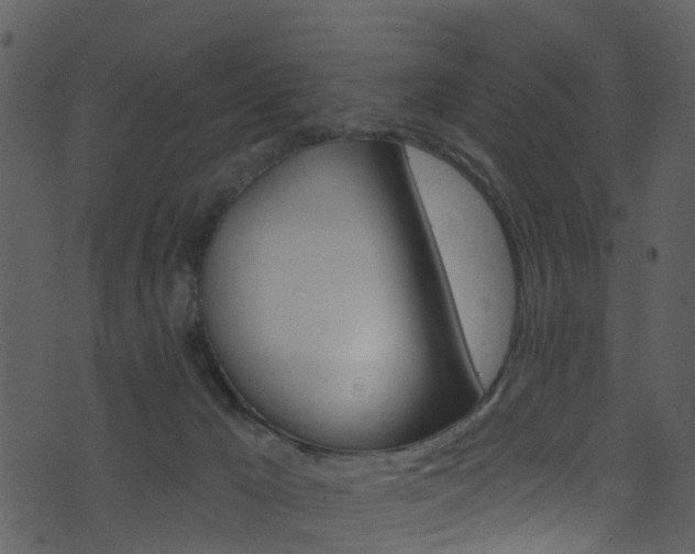 X0000074260029200608250911