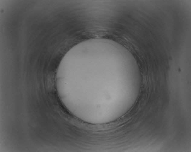 X0000074260030200608250911