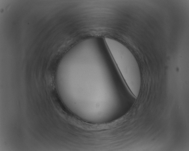 X0000074260031200608250911