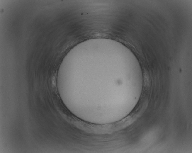 X0000074260032200608250911