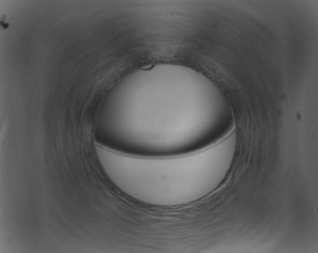 X0000074260033200608250911