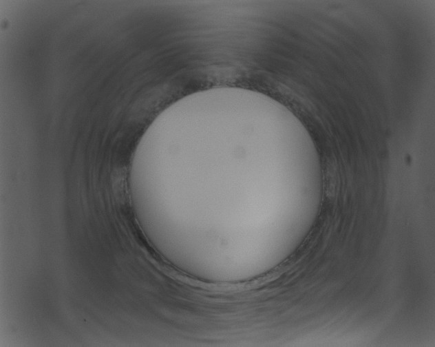 X0000074260034200608250911