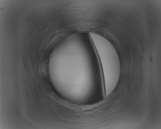 X0000074260035200608250911