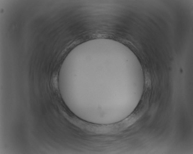 X0000074260036200608250911