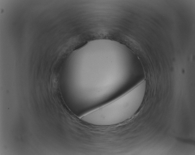 X0000074260037200608250911