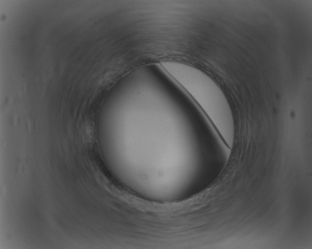 X0000074260039200608250911