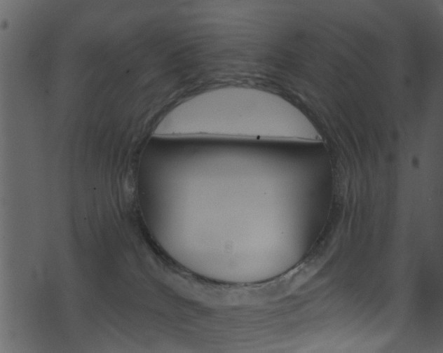 X0000074260040200608250911