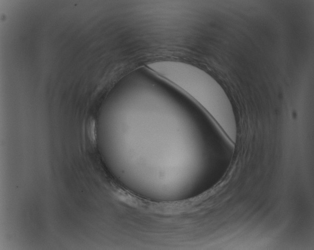 X0000074260041200608250911