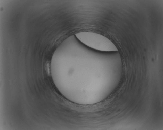 X0000074260042200608250911