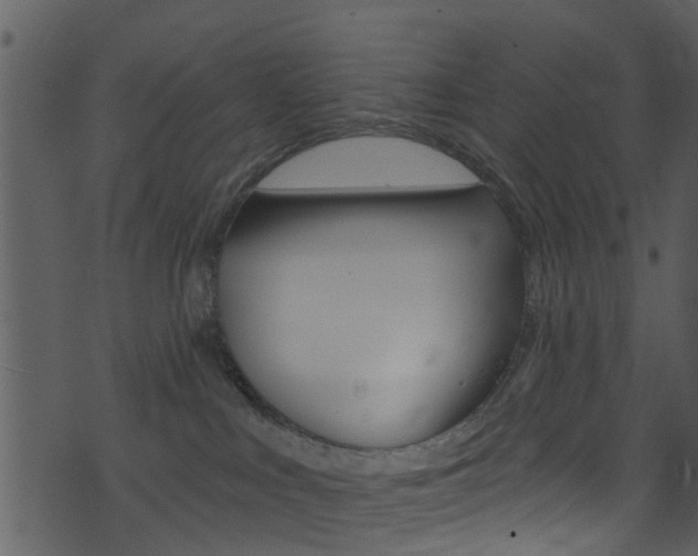 X0000074260043200608250911