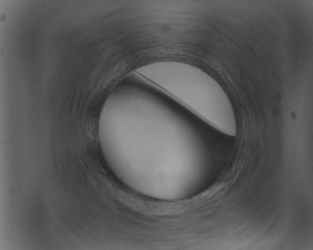 X0000074260044200608250911